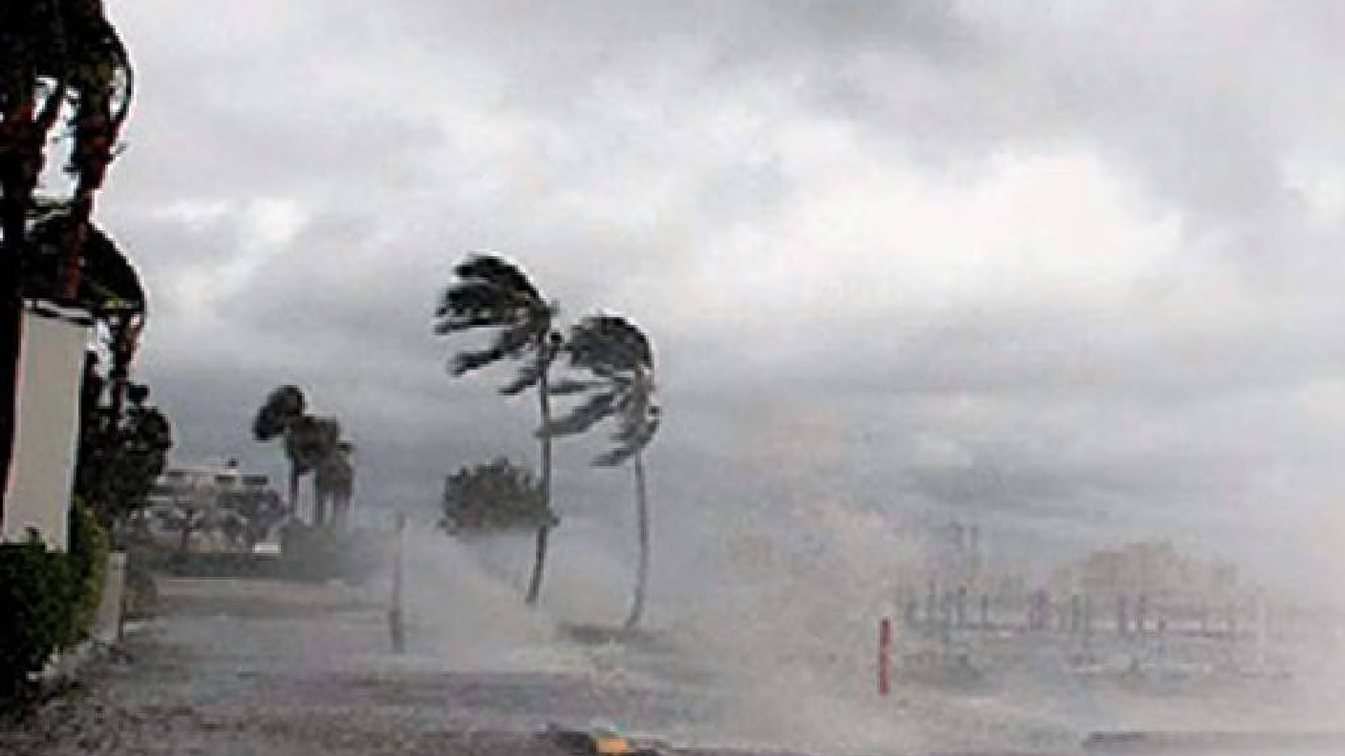 Weather Update: देशभर में बदल रहा मौसम, IMD ने केरल के 9 जिलों में जारी किया येलो अलर्ट; कई राज्यों में बारिश और तूफान की चेतावनी