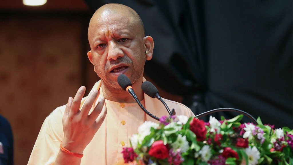 Yogi Cabinet